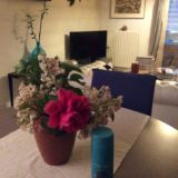 リサラーソン ステンレスタンブラーハリネズミ水筒